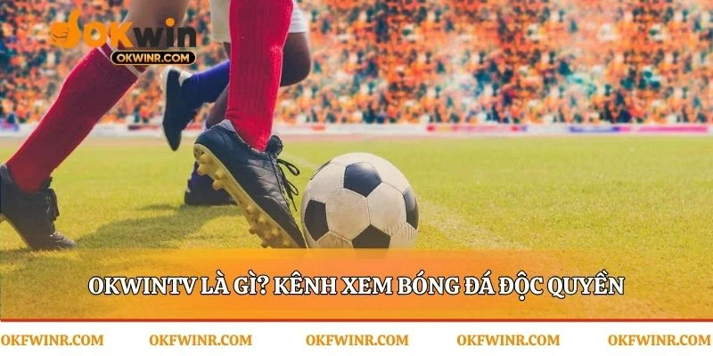 Nền tảng xem live được tạo ra cho quyết định cược